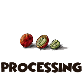 coffee processing